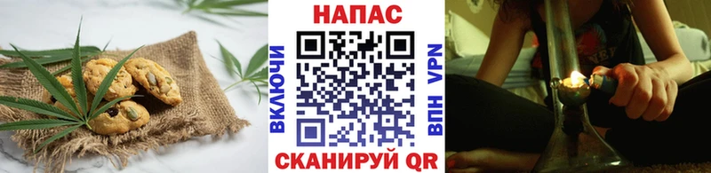 Купить  Алапаевск  Canna-Cookies конопля 